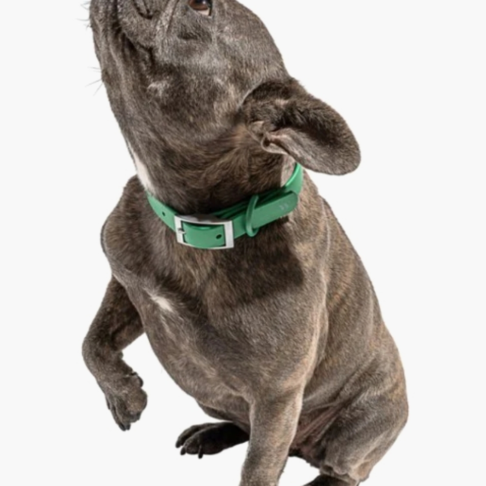 Wild One - Waterproof Dog Collar - M - Picture 3 of 6